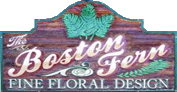 The Boston Fern